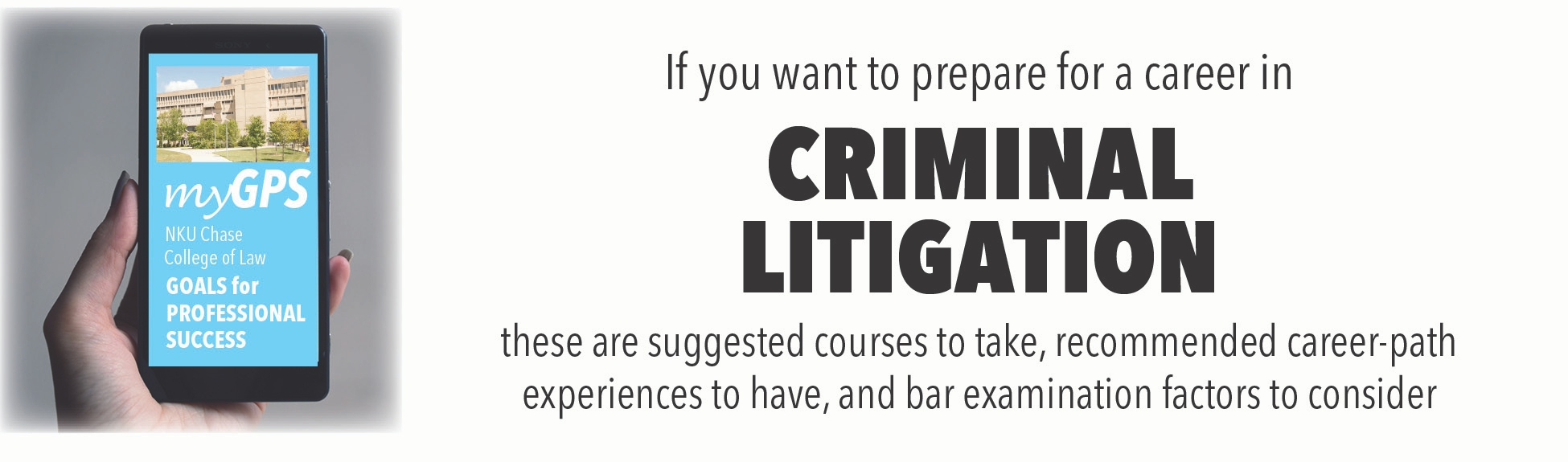 Criminal Litigation